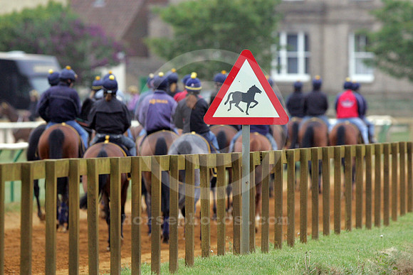 newmarket_training17_fs