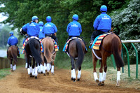 newmarket_godolphin11_fs