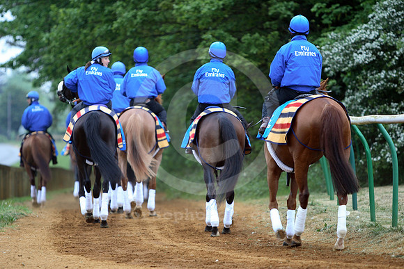 newmarket_godolphin11_fs