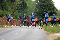newmarket_godolphin12_fs