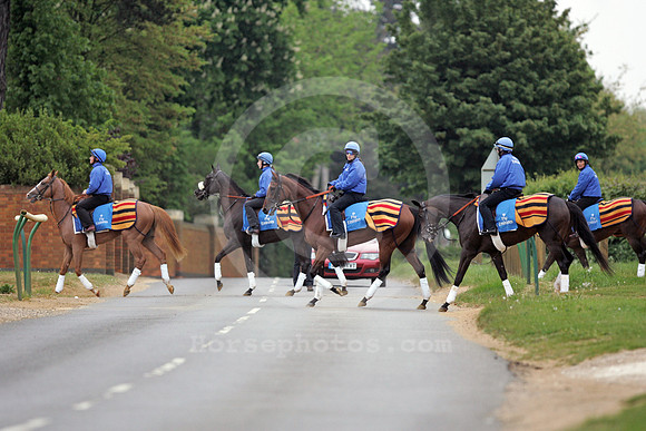 newmarket_godolphin12_fs