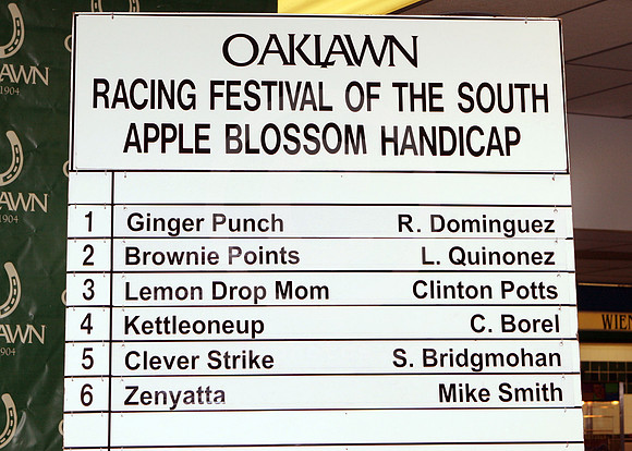 2008appleblossom_draw01