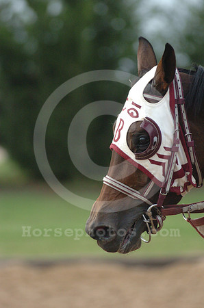 blinkers05_hr