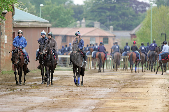 newmarket_training27_fs