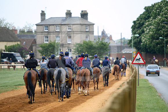 newmarket_training22_fs