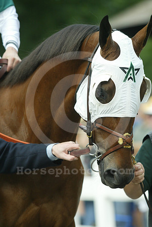 blinkers12_dk