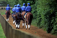 newmarket_godolphin08_fs