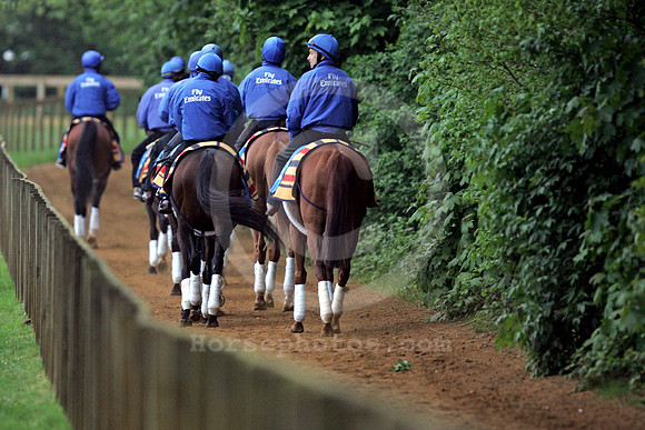 newmarket_godolphin08_fs
