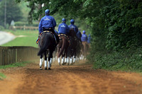 newmarket_godolphin06_fs