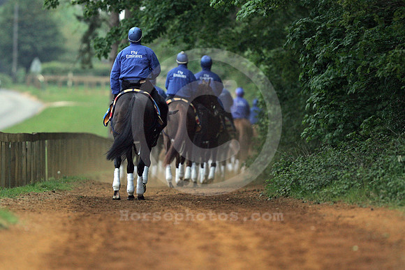 newmarket_godolphin06_fs
