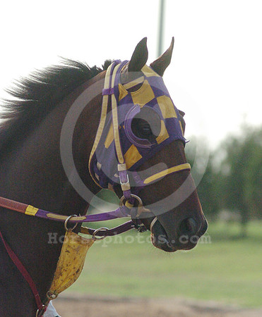 blinkers07_hr