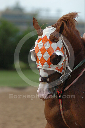 blinkers02_hr