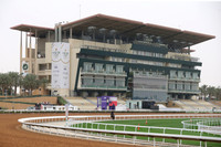 KingAbdulaziz_grandstand02