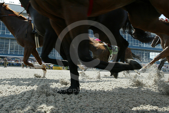 TurfwayPark_polytrack07