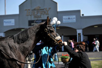 turfwaypark27_jn
