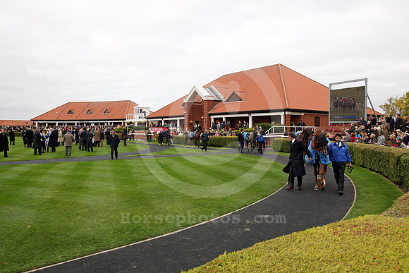 newmarket_parade_ring02_fs