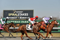 turfwaypark29_jn