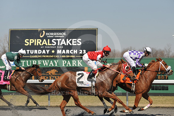 turfwaypark29_jn