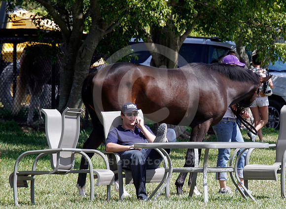 palmmeadows14_em