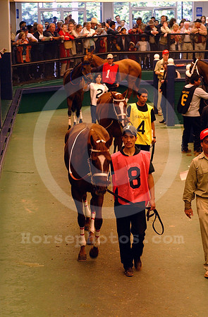 oaklawnpaddock05_jt