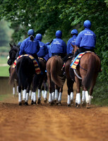 newmarket_godolphin07_fs