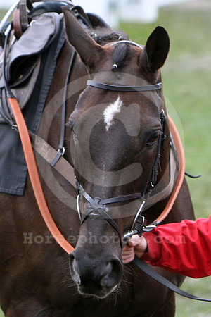 denman01_fs