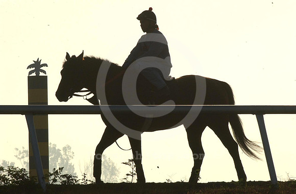 palmmeadows04_jd