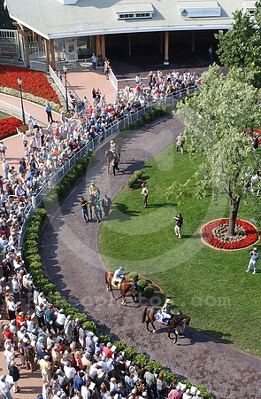 arlingtonpaddock07_hr