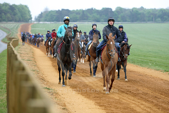 newmarket_training19_fs