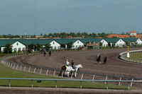 palmmeadows05_jd