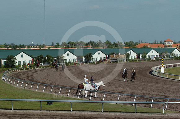 palmmeadows05_jd