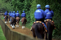 newmarket_godolphin09_fs