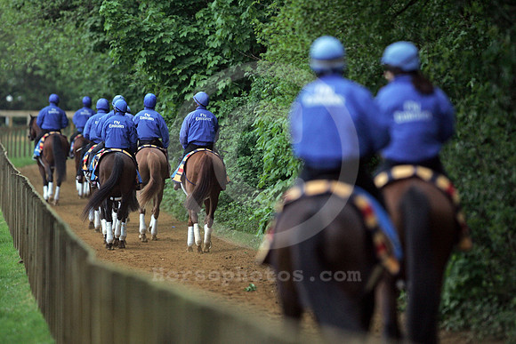 newmarket_godolphin09_fs