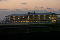 palmmeadows09_jd
