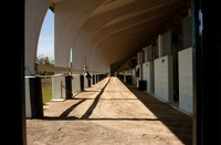 palmmeadows03_jd