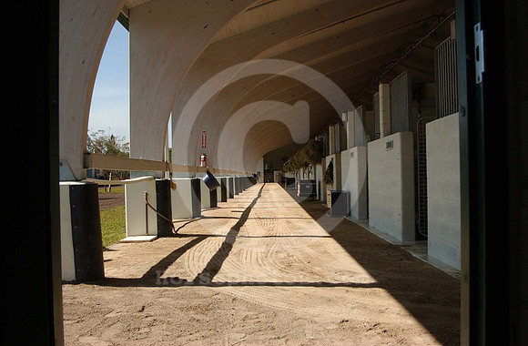 palmmeadows03_jd