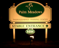 palmmeadows01_jd