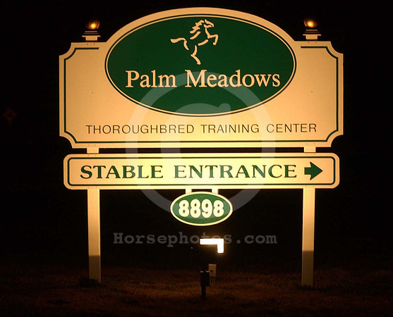 palmmeadows01_jd