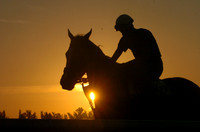 sunrisepalmmeadows01_jd