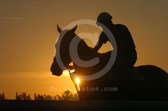 sunrisepalmmeadows01_jd