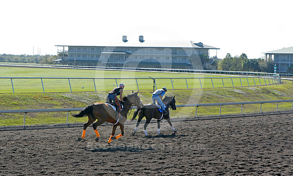 palmmeadows16_em