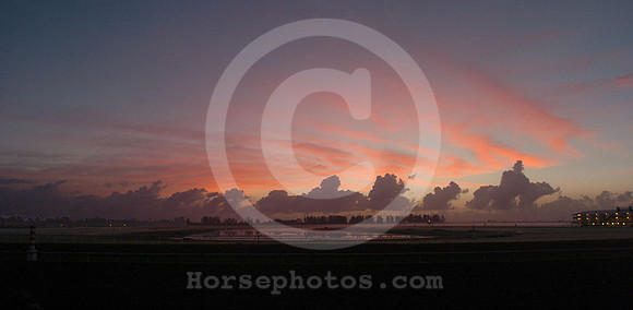 sunrisepalmmeadows02_jd