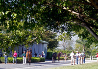 palmmeadows17_em