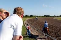 palmmeadows15_em