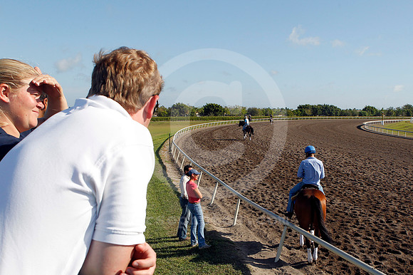 palmmeadows15_em