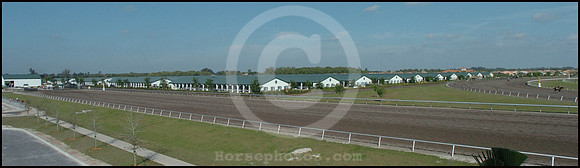 palmmeadows08_jd