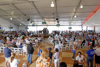palmmeadows18_em