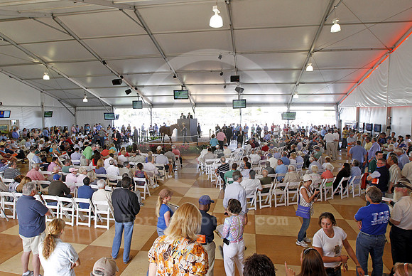 palmmeadows18_em