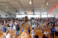 palmmeadows18_em