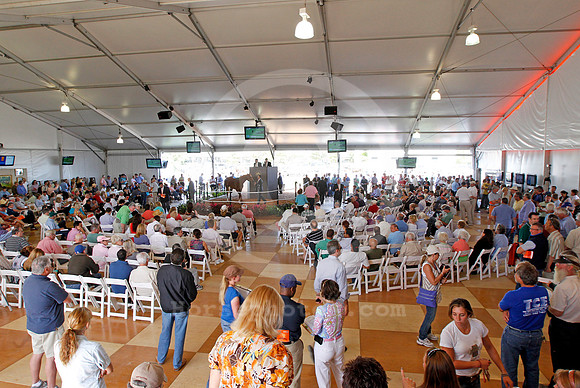 palmmeadows18_em